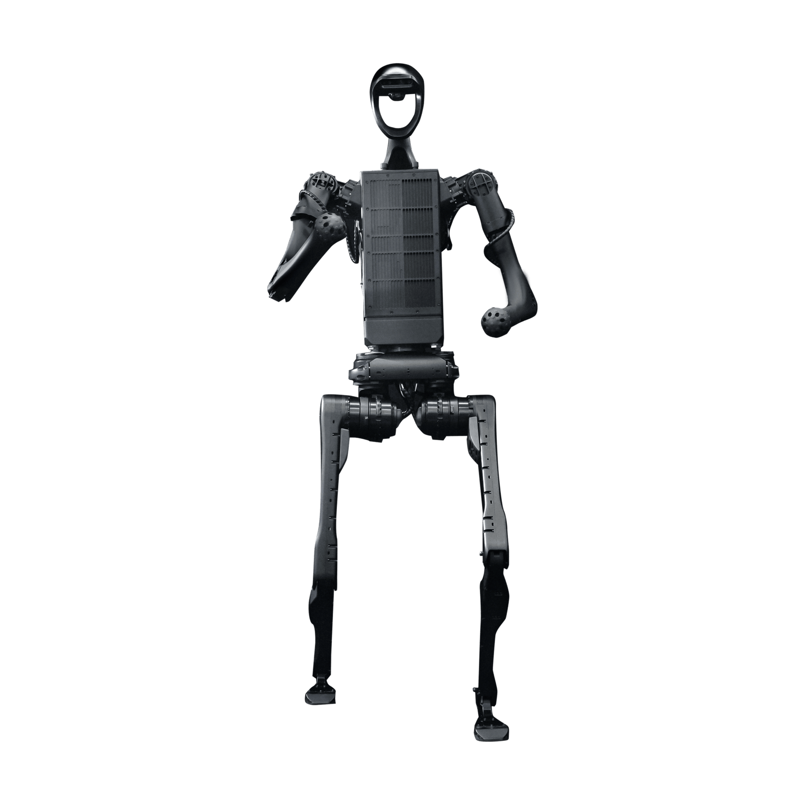 nitree H1 Humanoid Robot for Sale | Advanced AI Humanoid